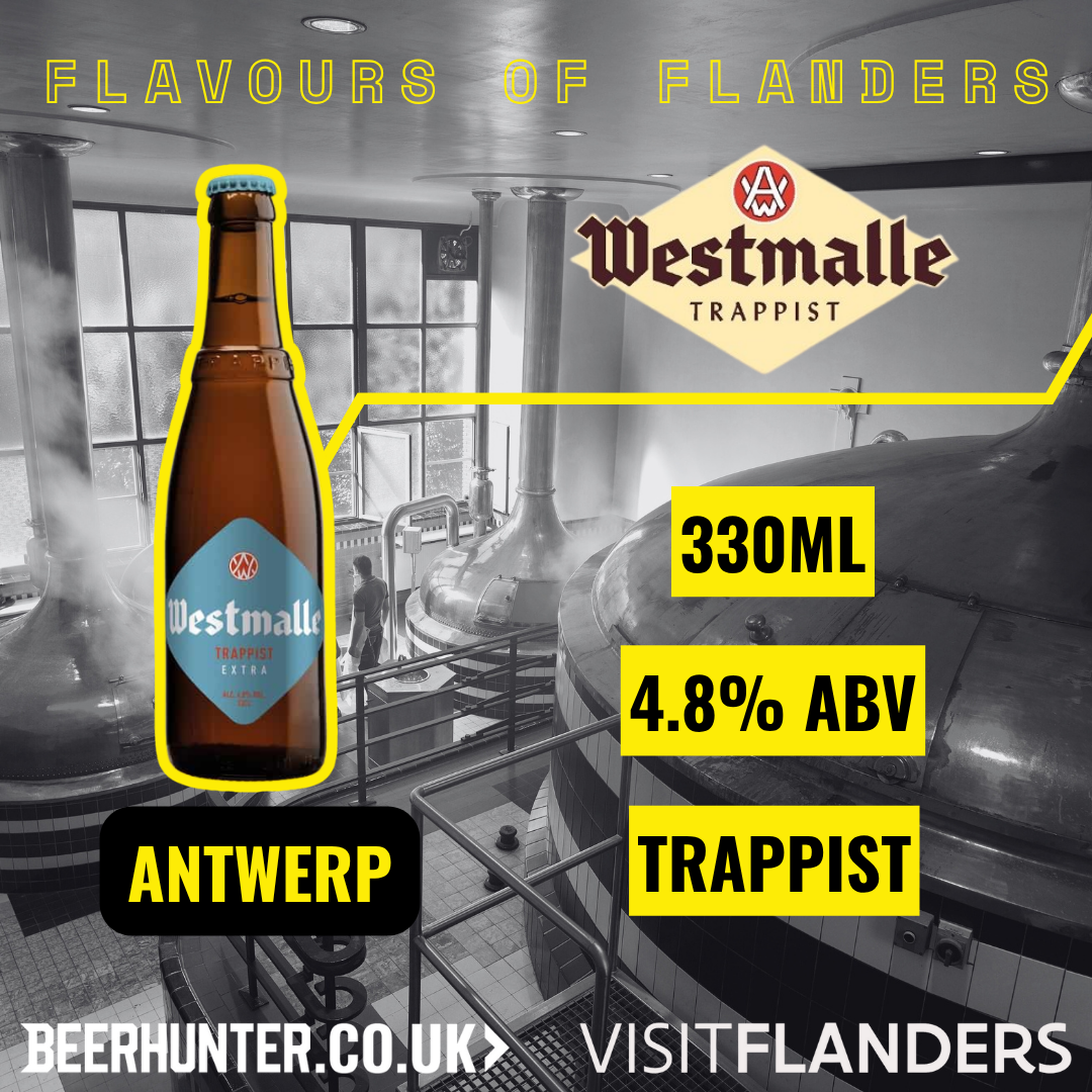 Visit Flanders Belgian Beer Discovery Case (12 Pack)