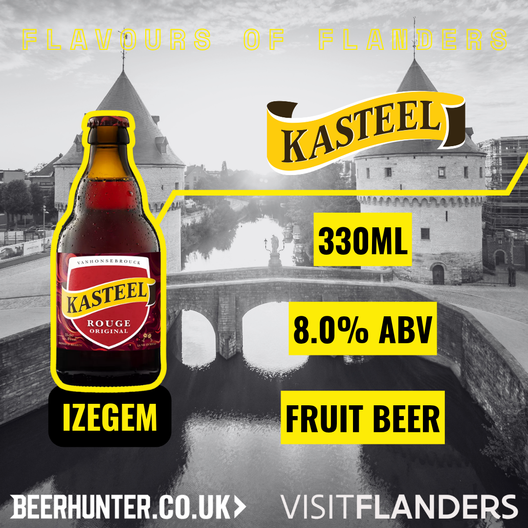 Visit Flanders Belgian Beer Discovery Case (12 Pack)