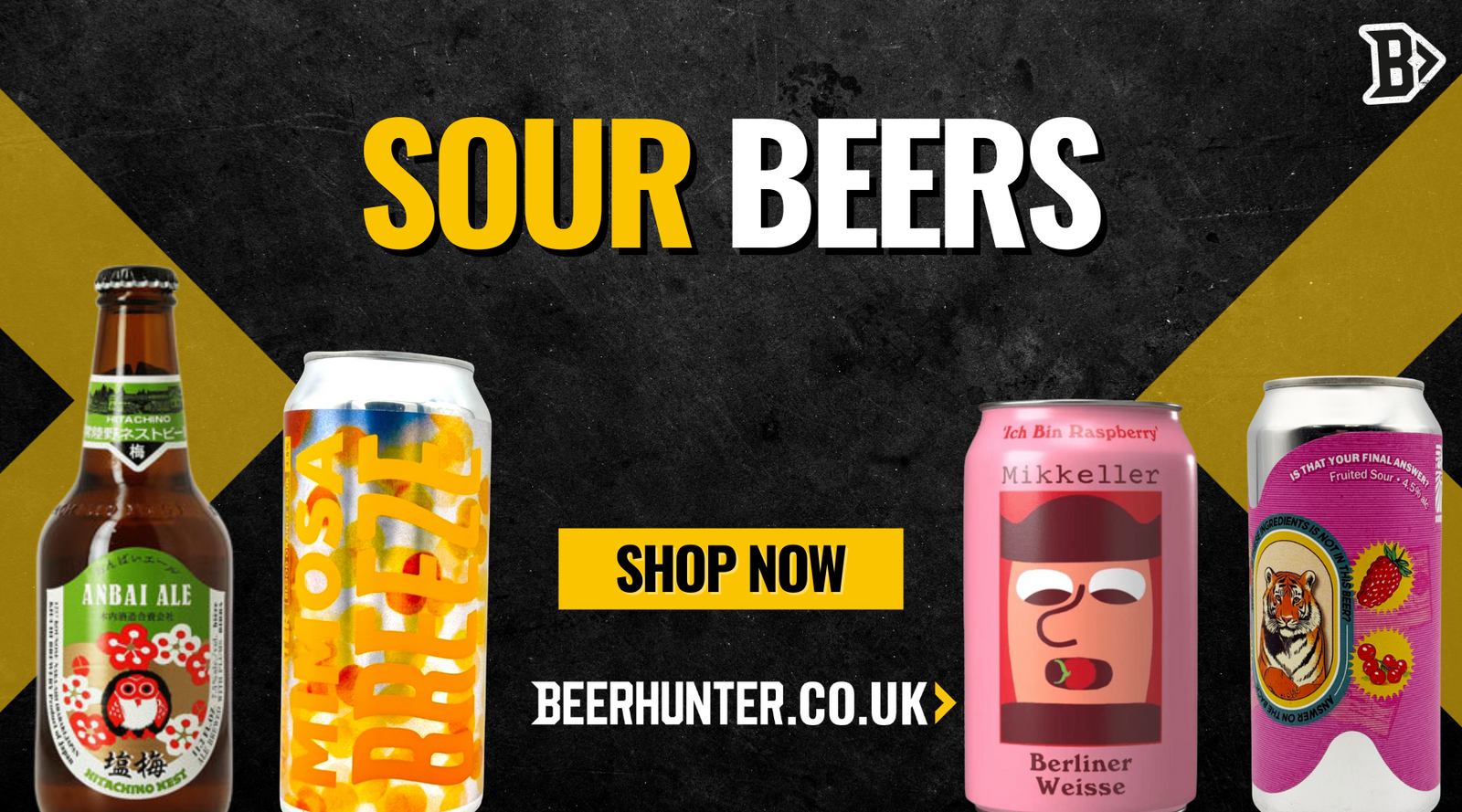 Sour Beer