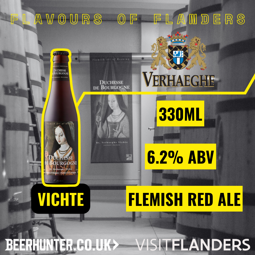 Visit Flanders Belgian Beer Discovery Case (12 Pack)