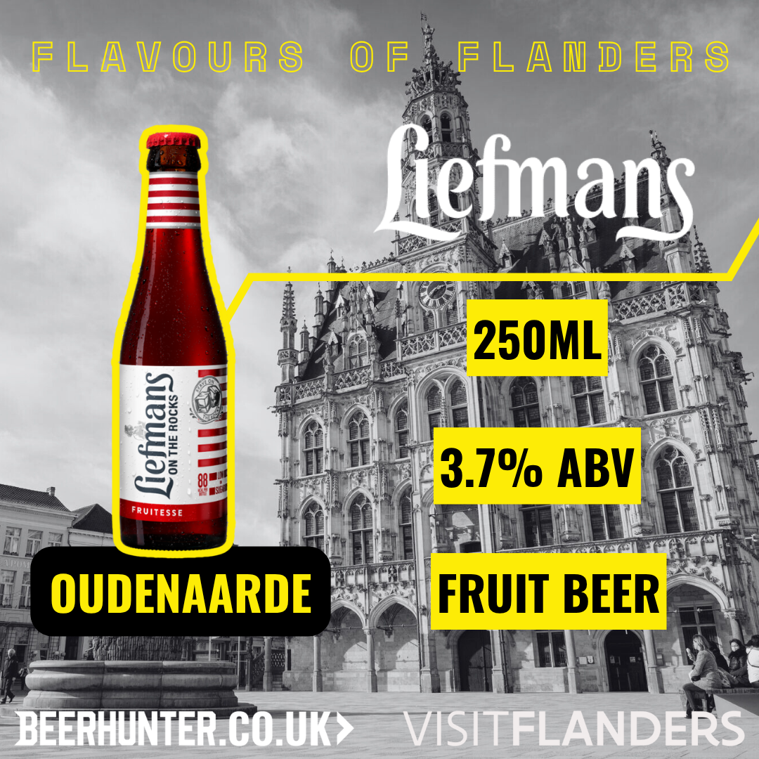 Visit Flanders Belgian Beer Discovery Case (12 Pack)