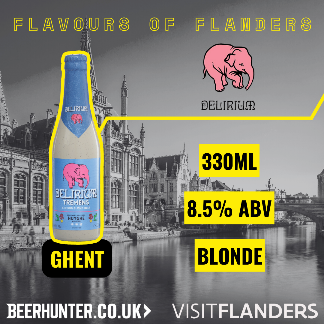 Visit Flanders Belgian Beer Discovery Case (12 Pack)