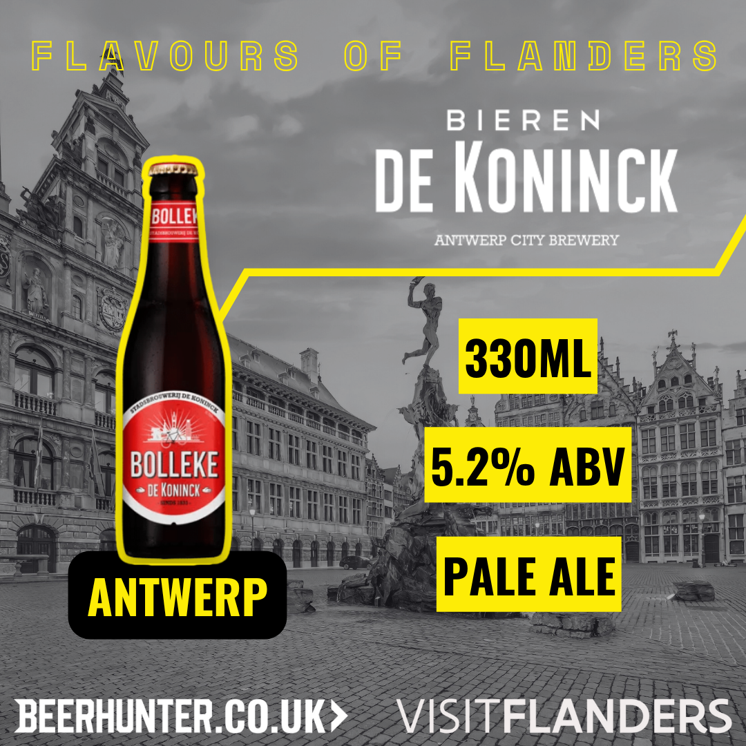 Visit Flanders Belgian Beer Discovery Case (12 Pack)