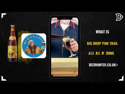 St. Bernardus Pater 6 Belgian Trappist Dubbel Beer 330ml Bottles - 6.7% ABV (12 Pack)